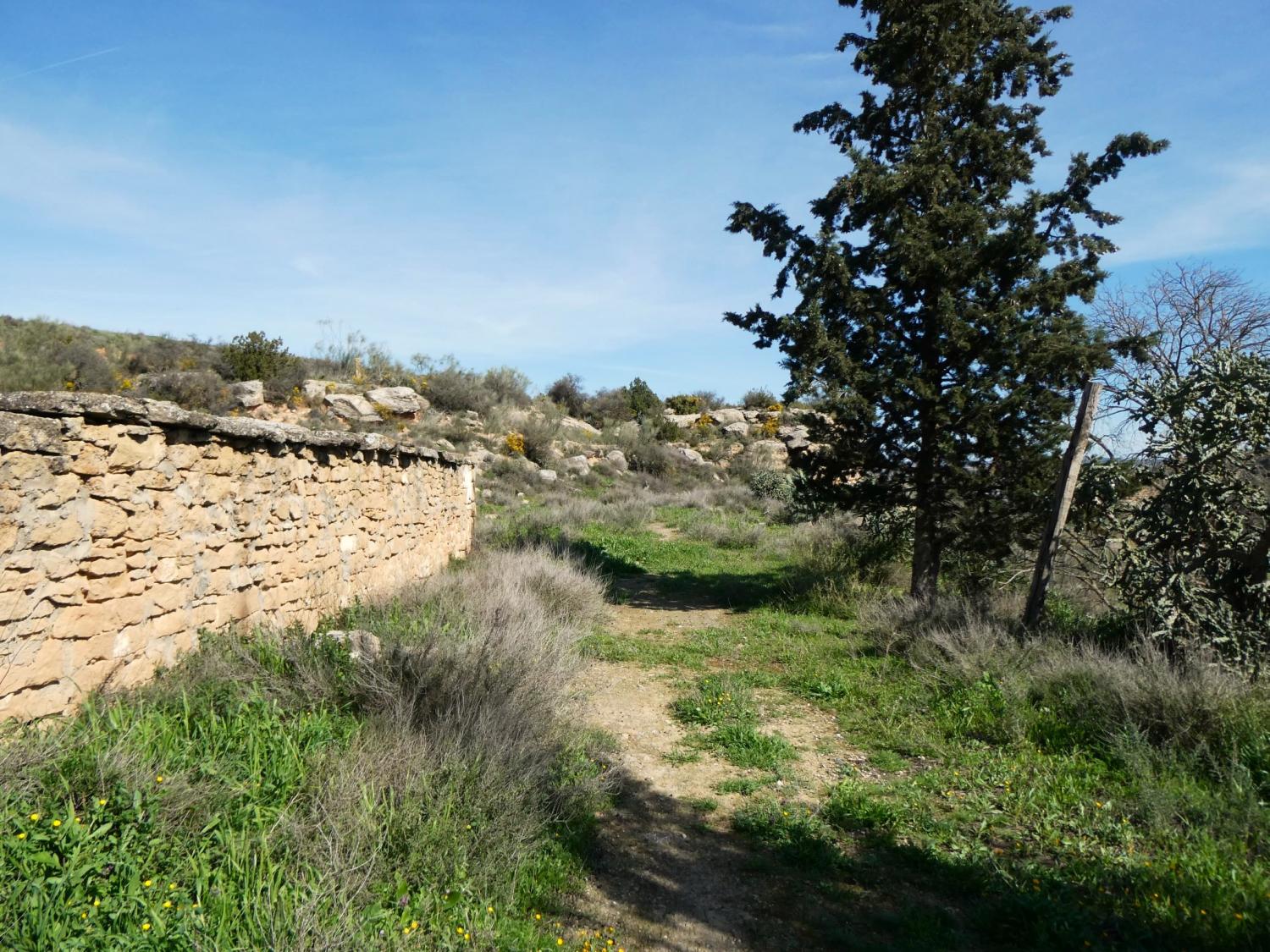  en venta finca rústica Caspe Bajo Aragón-Caspe 15