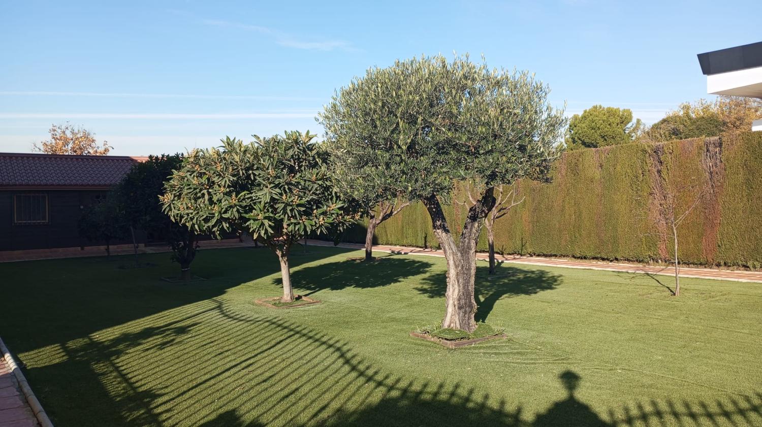  en venta chalet Alcalá La Real Sierra Sur 7