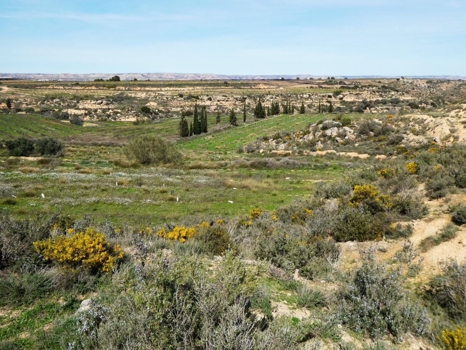  en venta finca rústica Caspe Bajo Aragón-Caspe 38