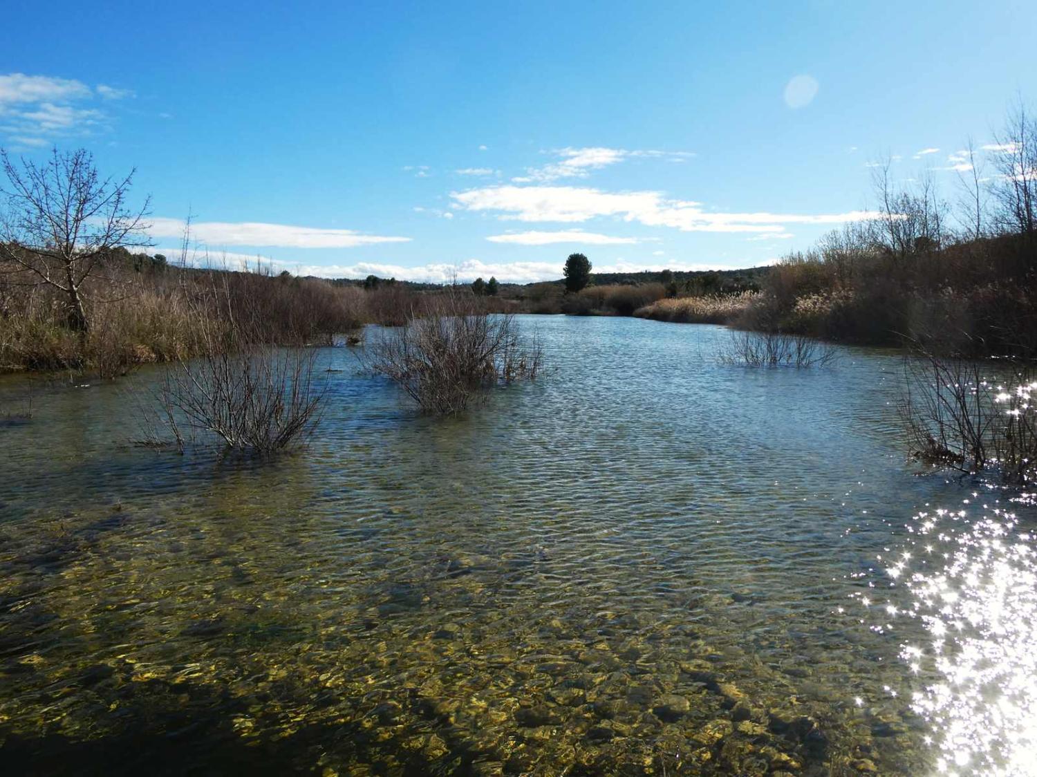  en venta finca rústica Fabara Bajo Aragón-Caspe 3