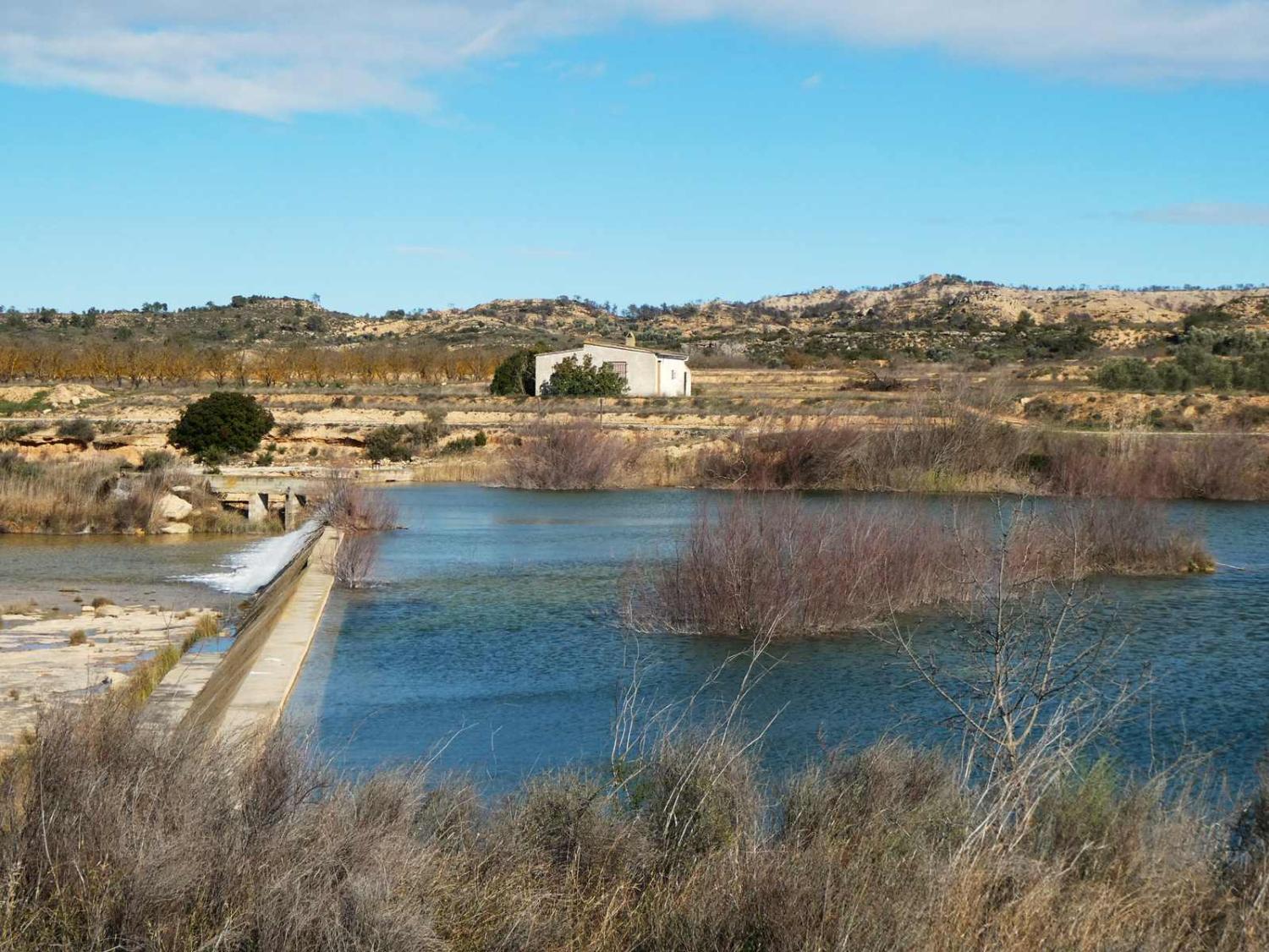  en venta finca rústica Fabara Bajo Aragón-Caspe 34