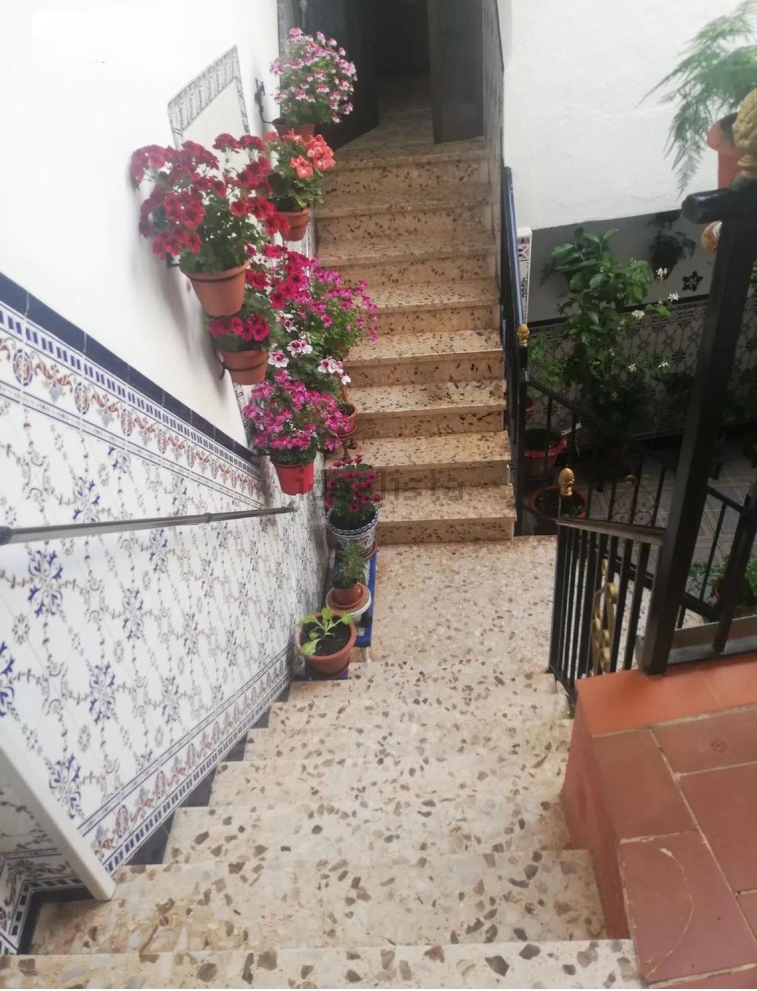  en venta casa Montoro Alto Guadalquivir 21