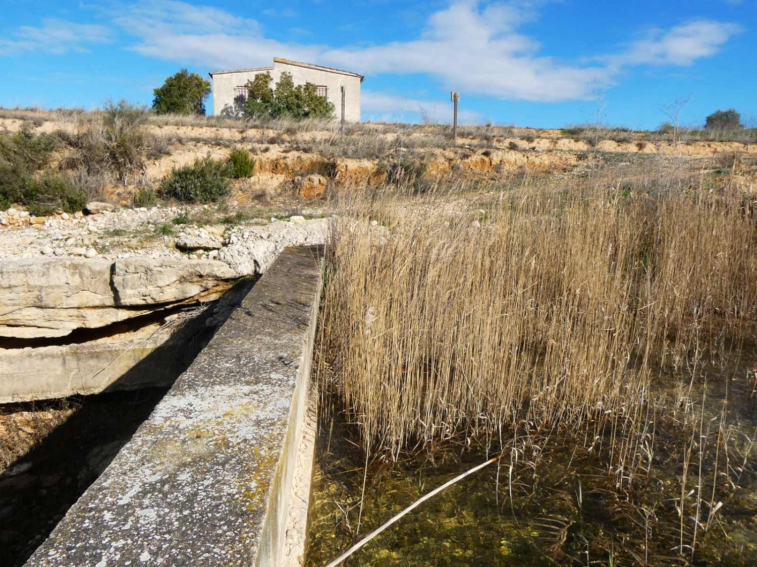  en venta finca rústica Fabara Bajo Aragón-Caspe 24