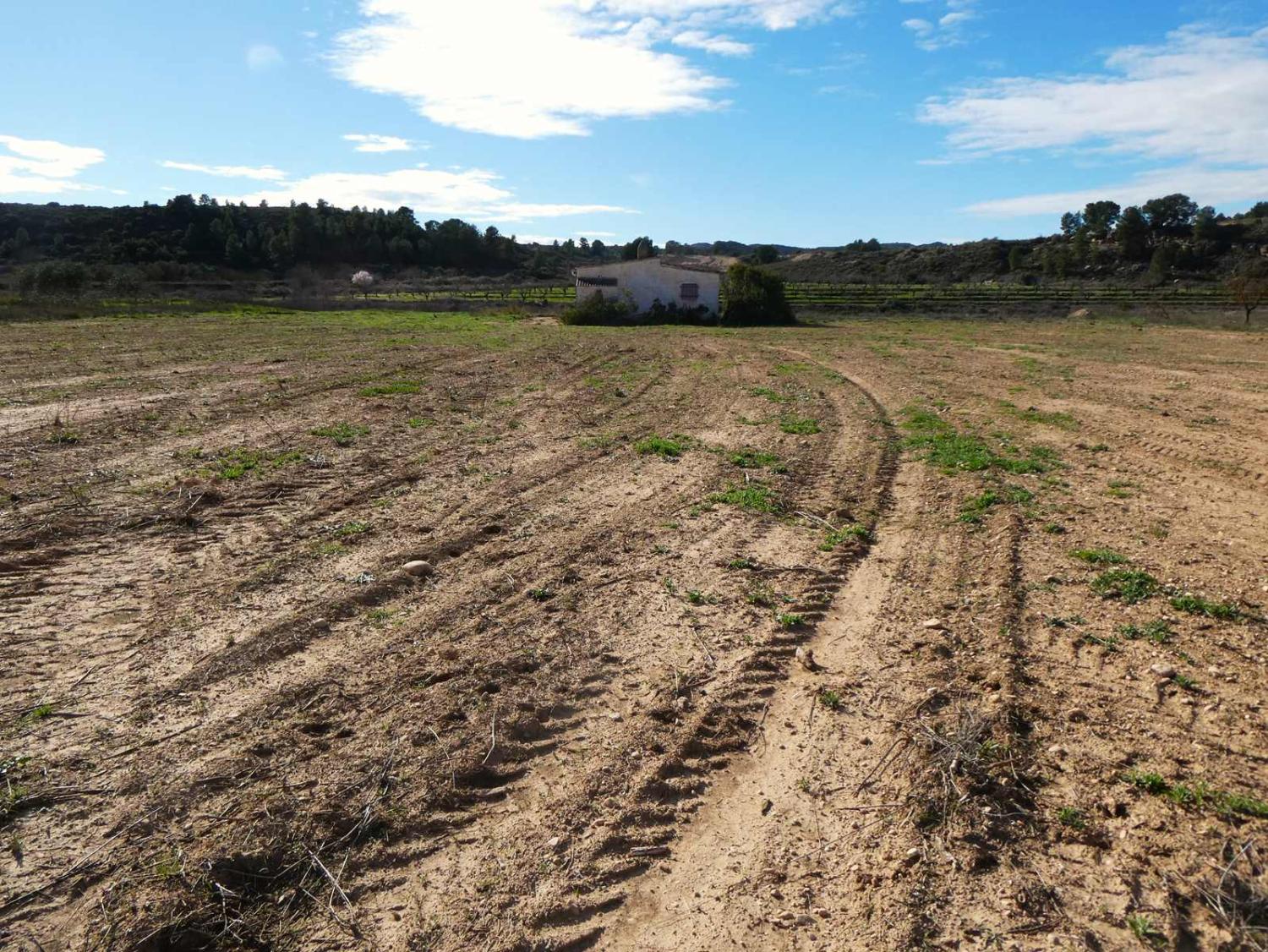  en venta finca rústica Fabara Bajo Aragón-Caspe 30