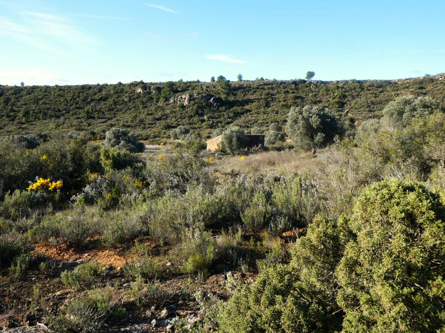  en venta finca rústica Fabara Bajo Aragón-Caspe 3