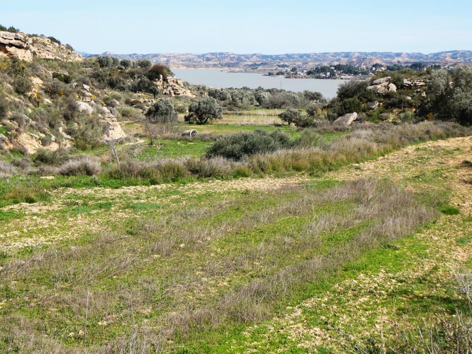  en venta finca rústica Caspe Bajo Aragón-Caspe 32