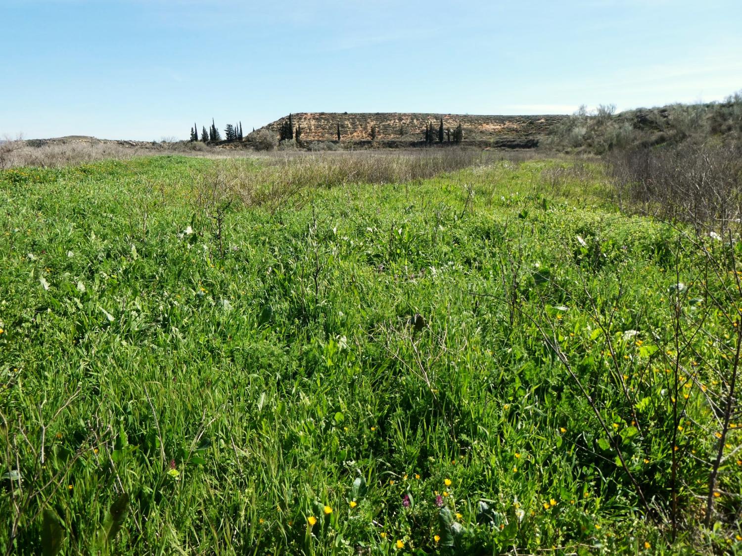  en venta finca rústica Caspe Bajo Aragón-Caspe 33