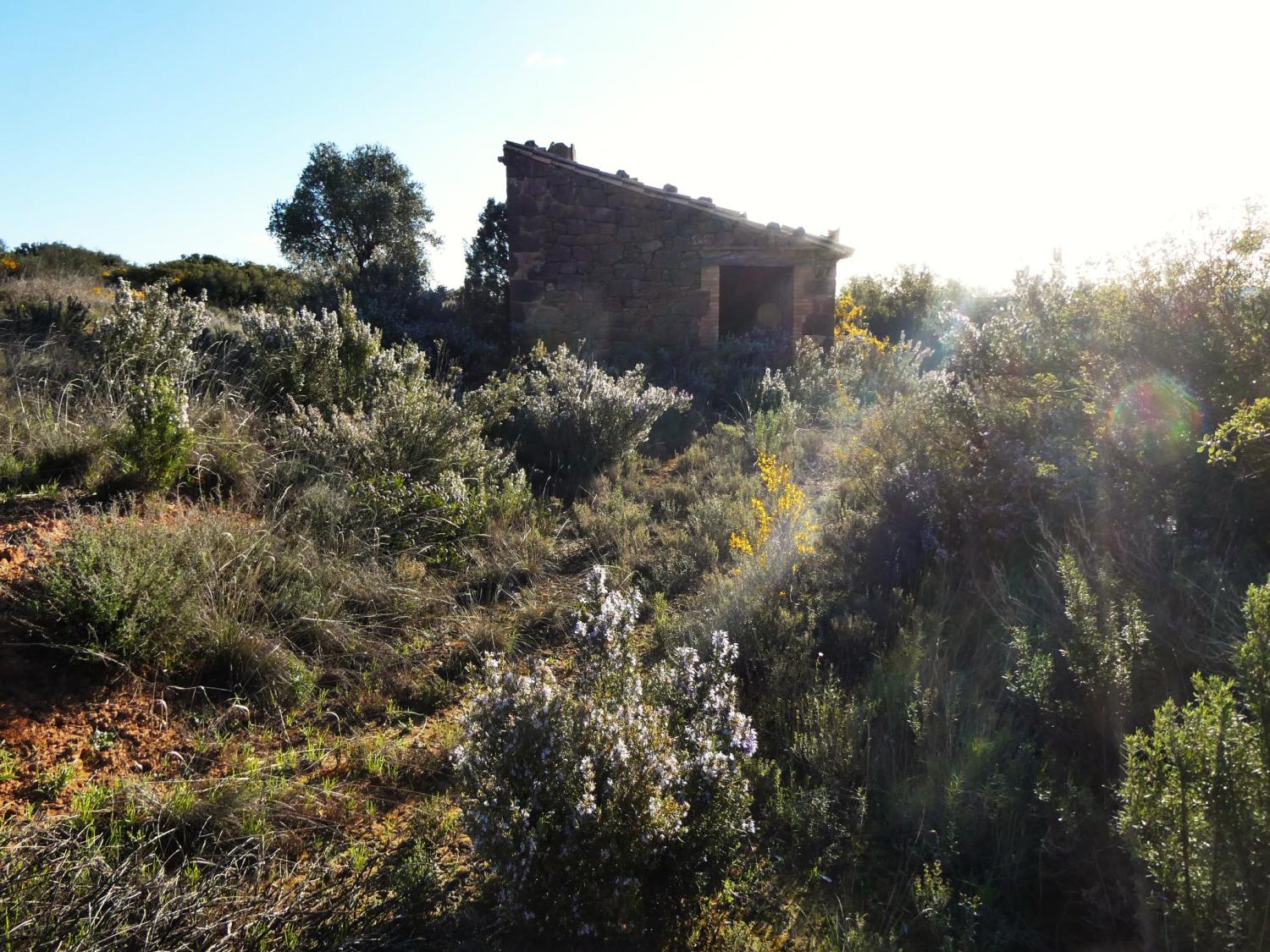  en venta finca rústica Fabara Bajo Aragón-Caspe 9