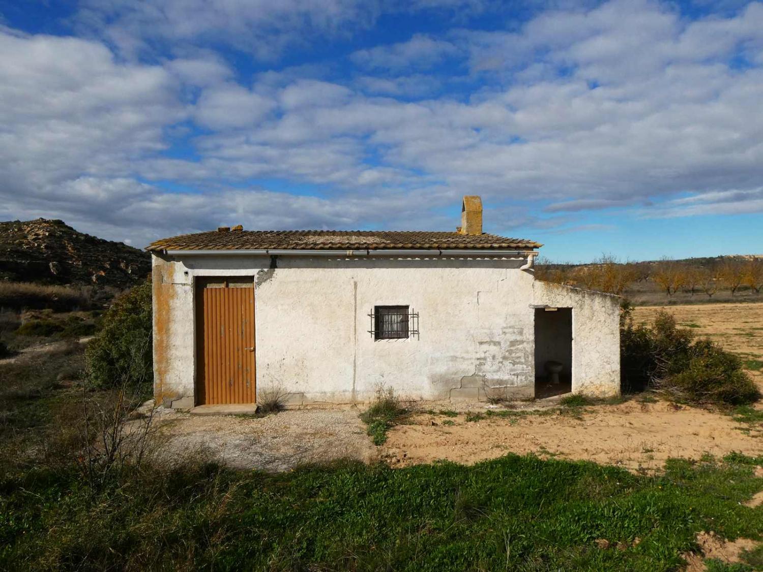  en venta finca rústica Fabara Bajo Aragón-Caspe 7