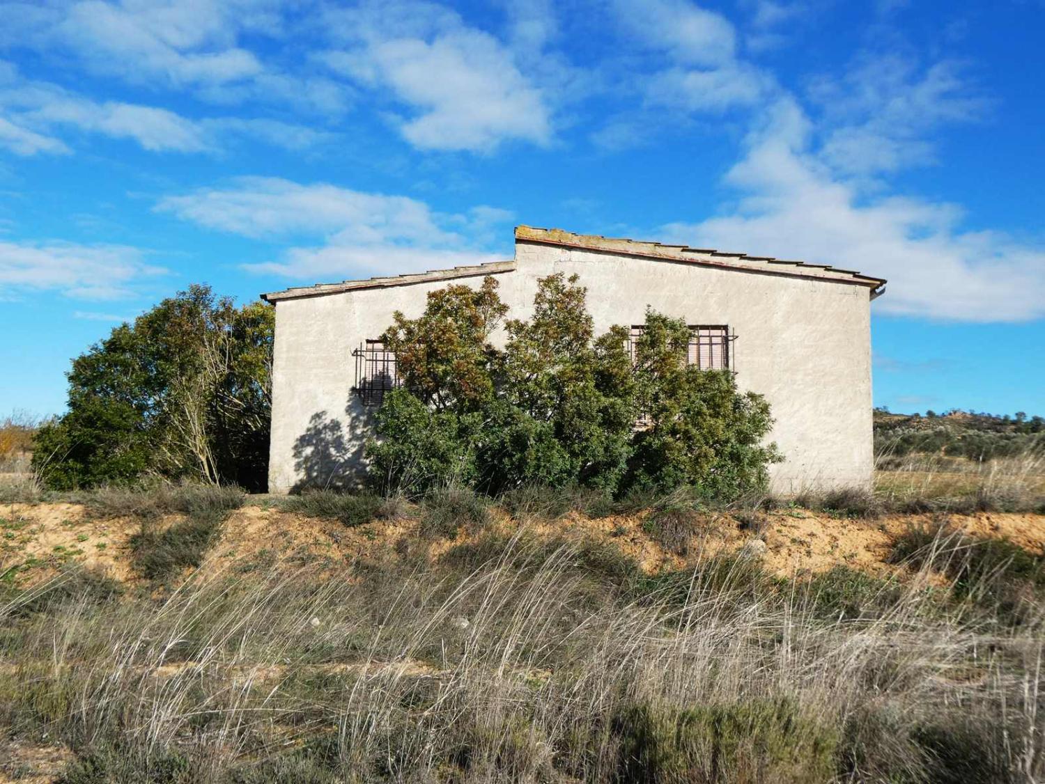  en venta finca rústica Fabara Bajo Aragón-Caspe 23