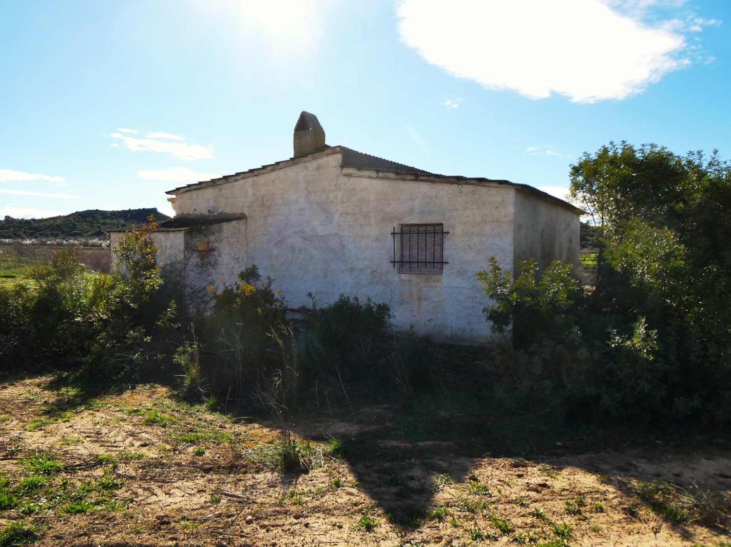  en venta finca rústica Fabara Bajo Aragón-Caspe 21