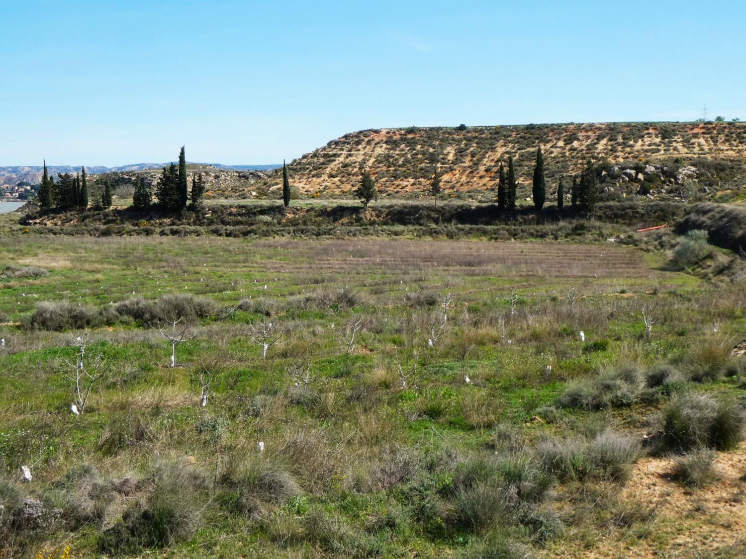  en venta finca rústica Caspe Bajo Aragón-Caspe 34