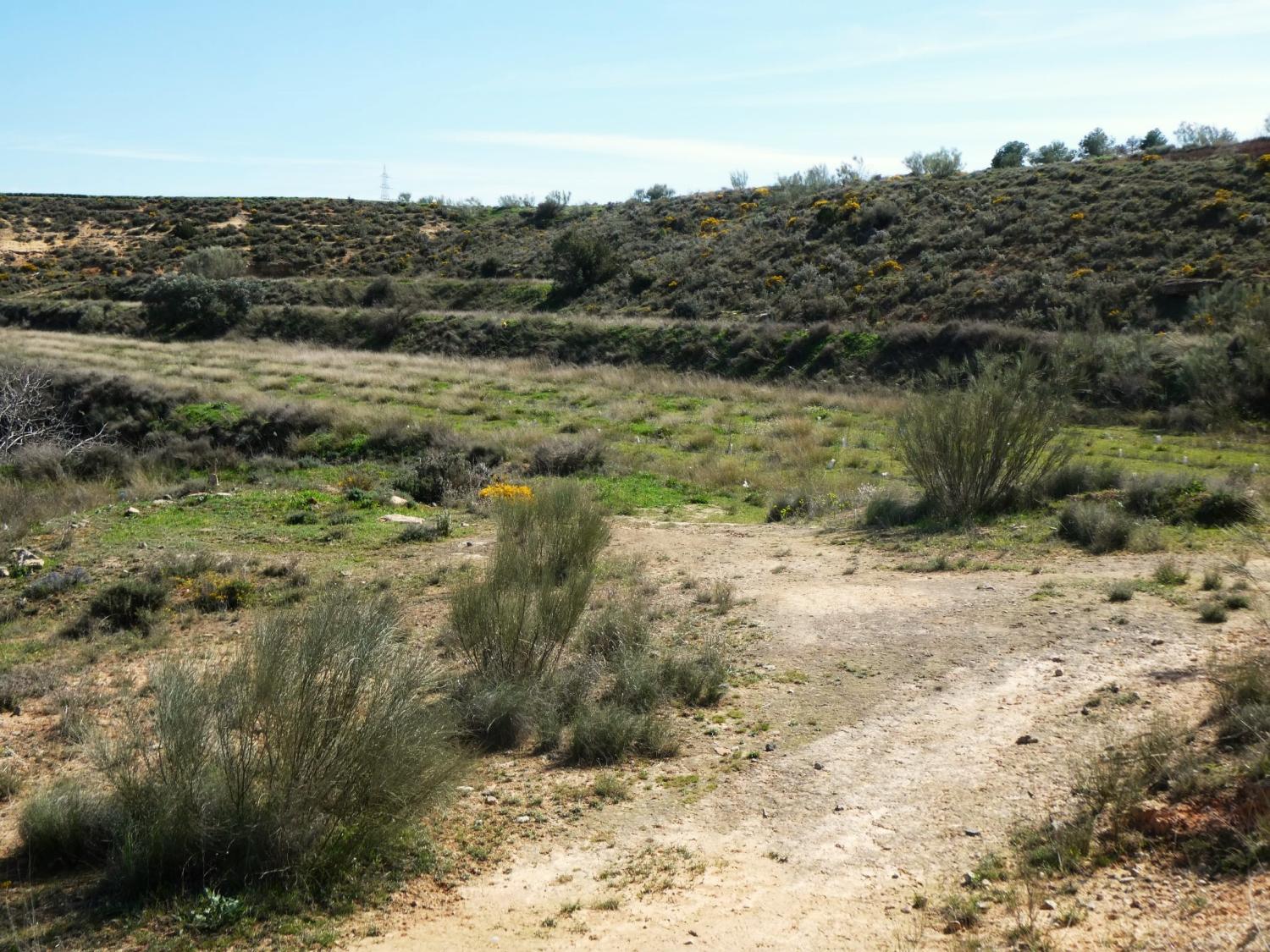  en venta finca rústica Caspe Bajo Aragón-Caspe 35