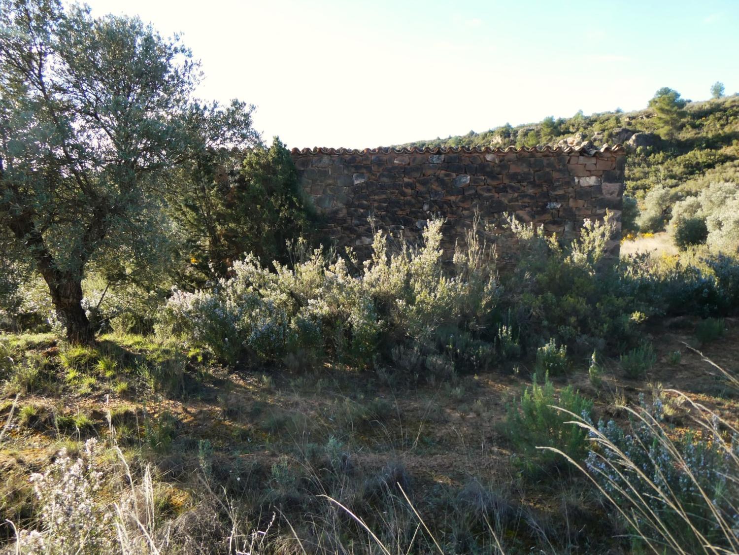  en venta finca rústica Fabara Bajo Aragón-Caspe 7