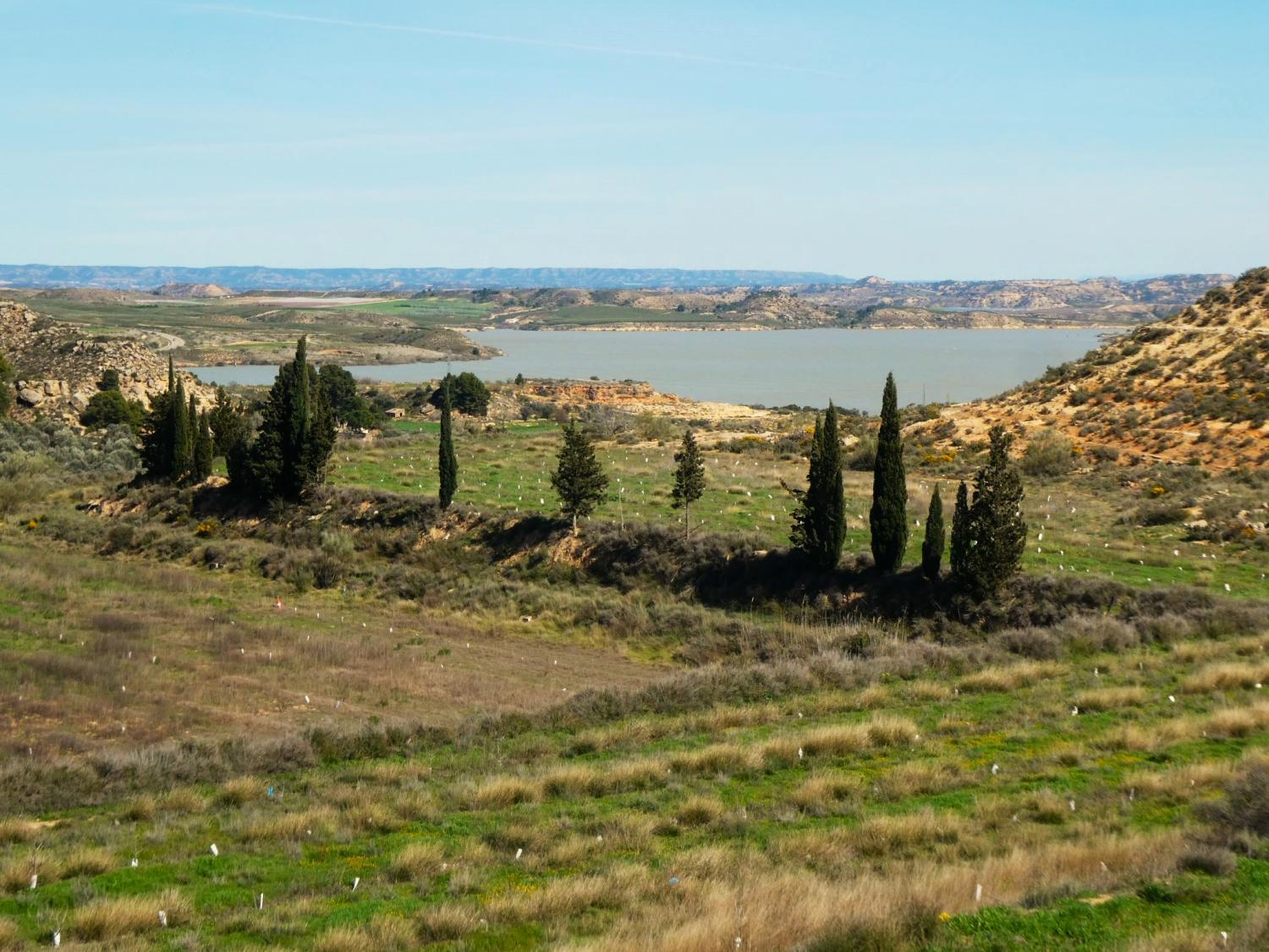 en venta finca rústica Caspe Bajo Aragón-Caspe 2
