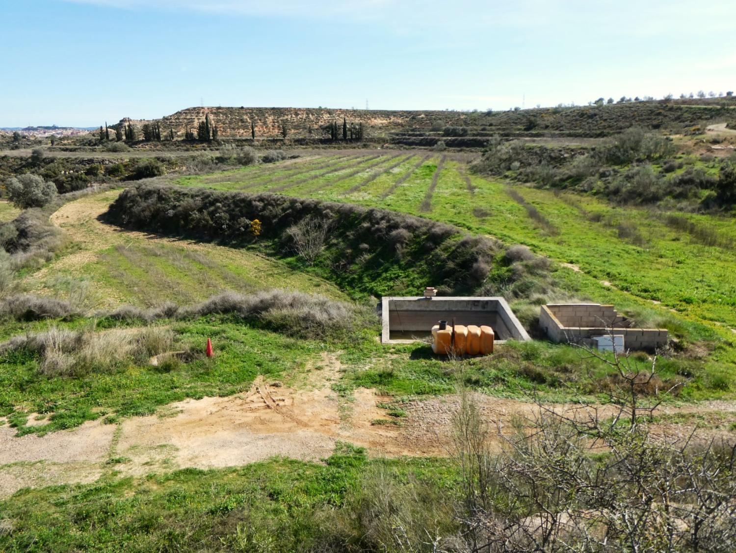  en venta finca rústica Caspe Bajo Aragón-Caspe 22