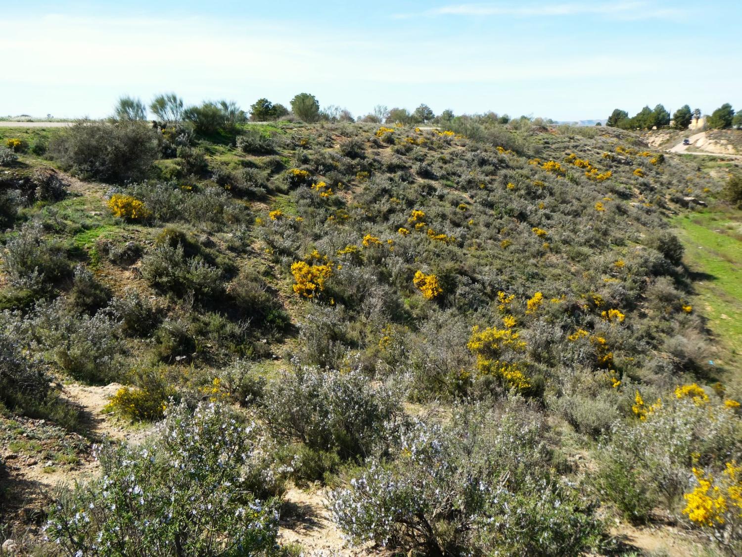  en venta finca rústica Caspe Bajo Aragón-Caspe 36