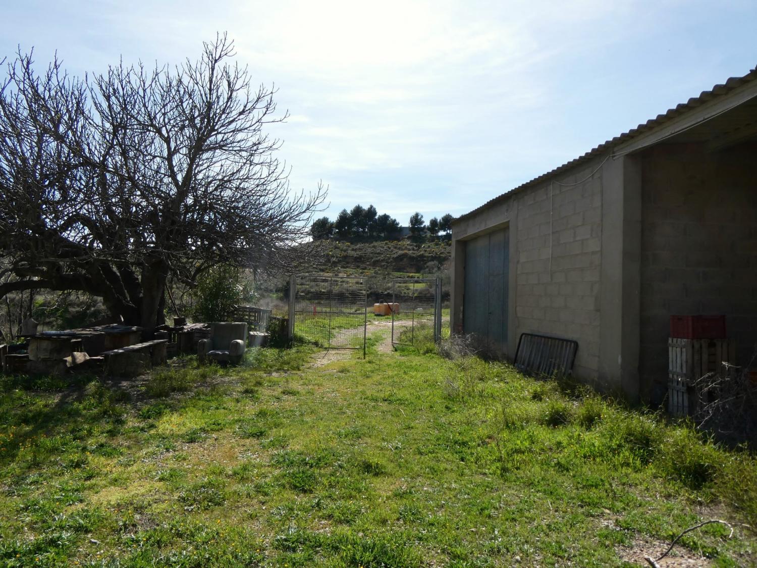  en venta finca rústica Caspe Bajo Aragón-Caspe 6