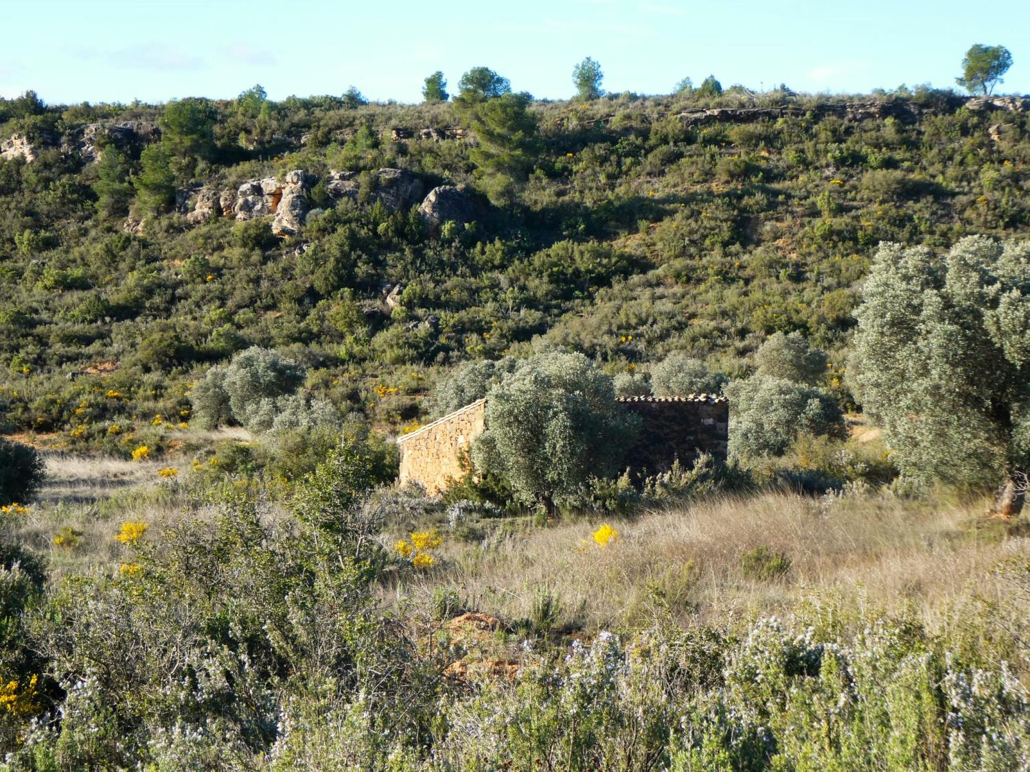  en venta finca rústica Fabara Bajo Aragón-Caspe 4