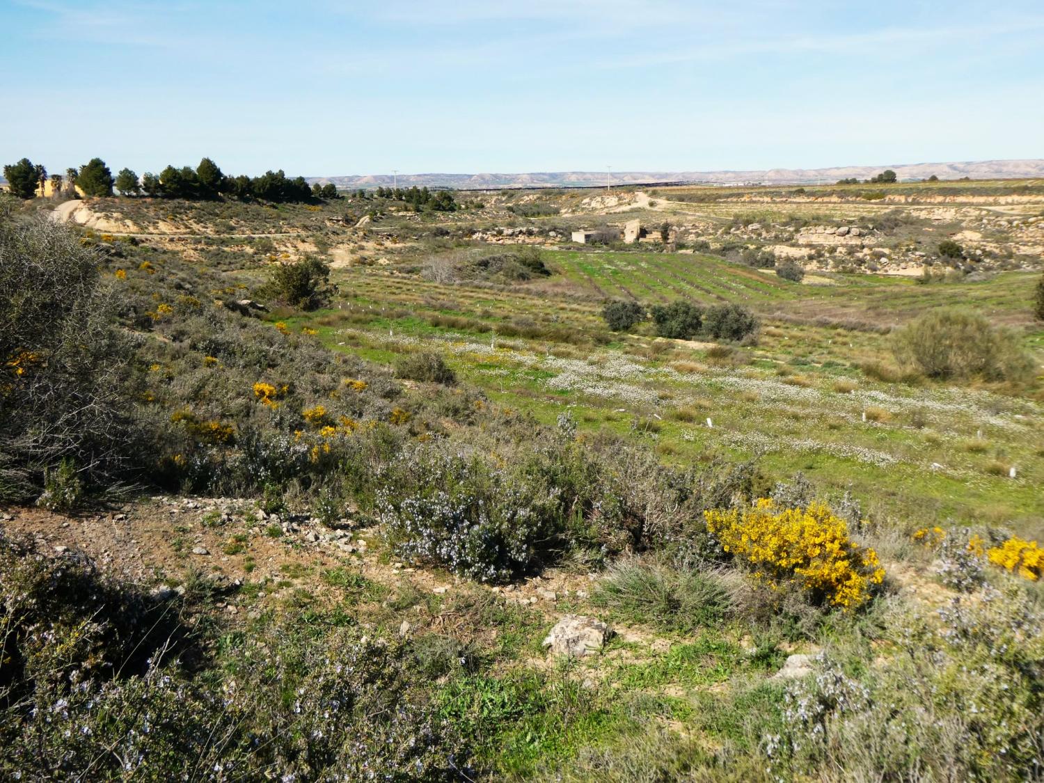  en venta finca rústica Caspe Bajo Aragón-Caspe 37