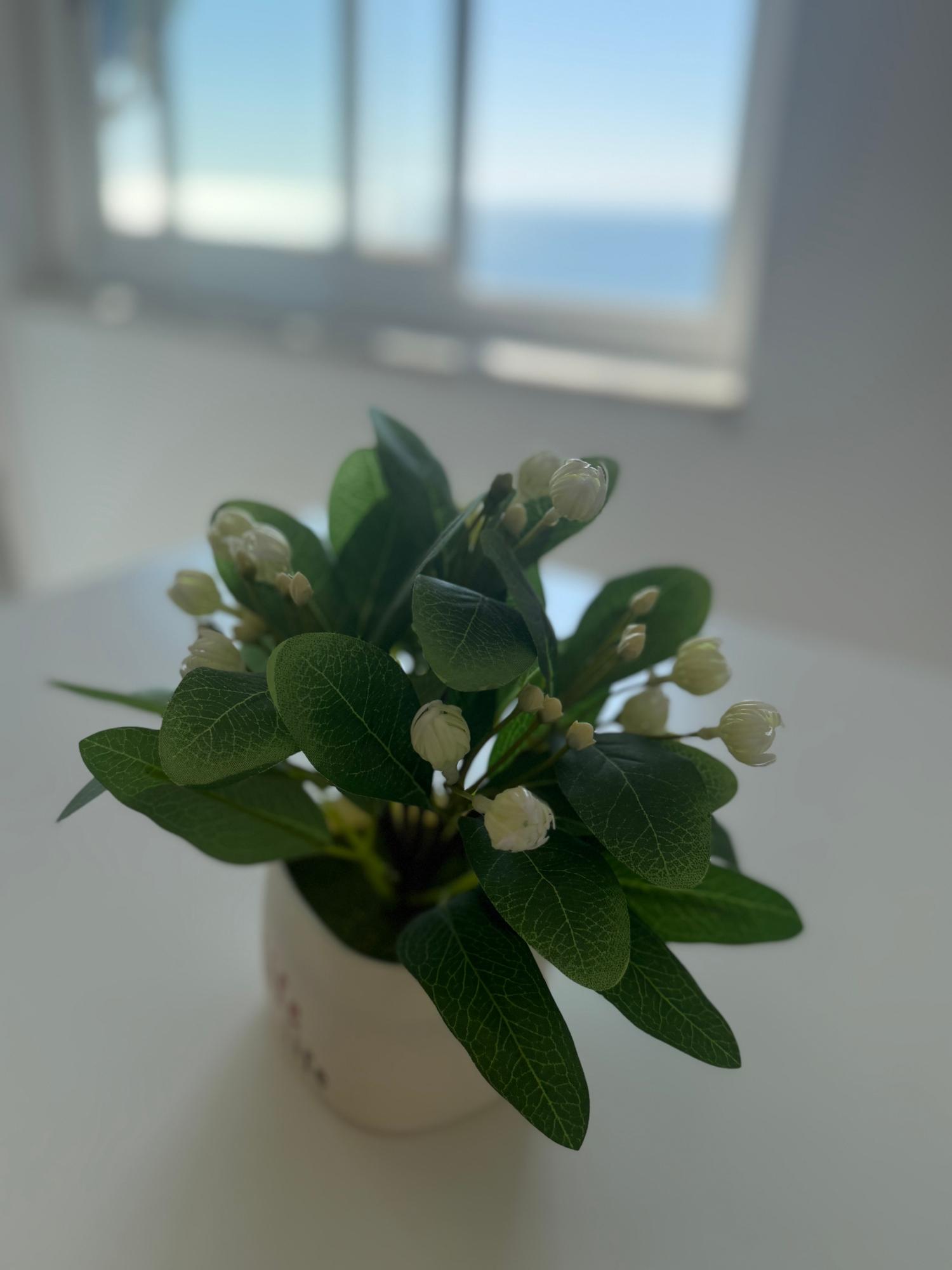  en venta apartamento Santa Pola Baix Vinalopó 16