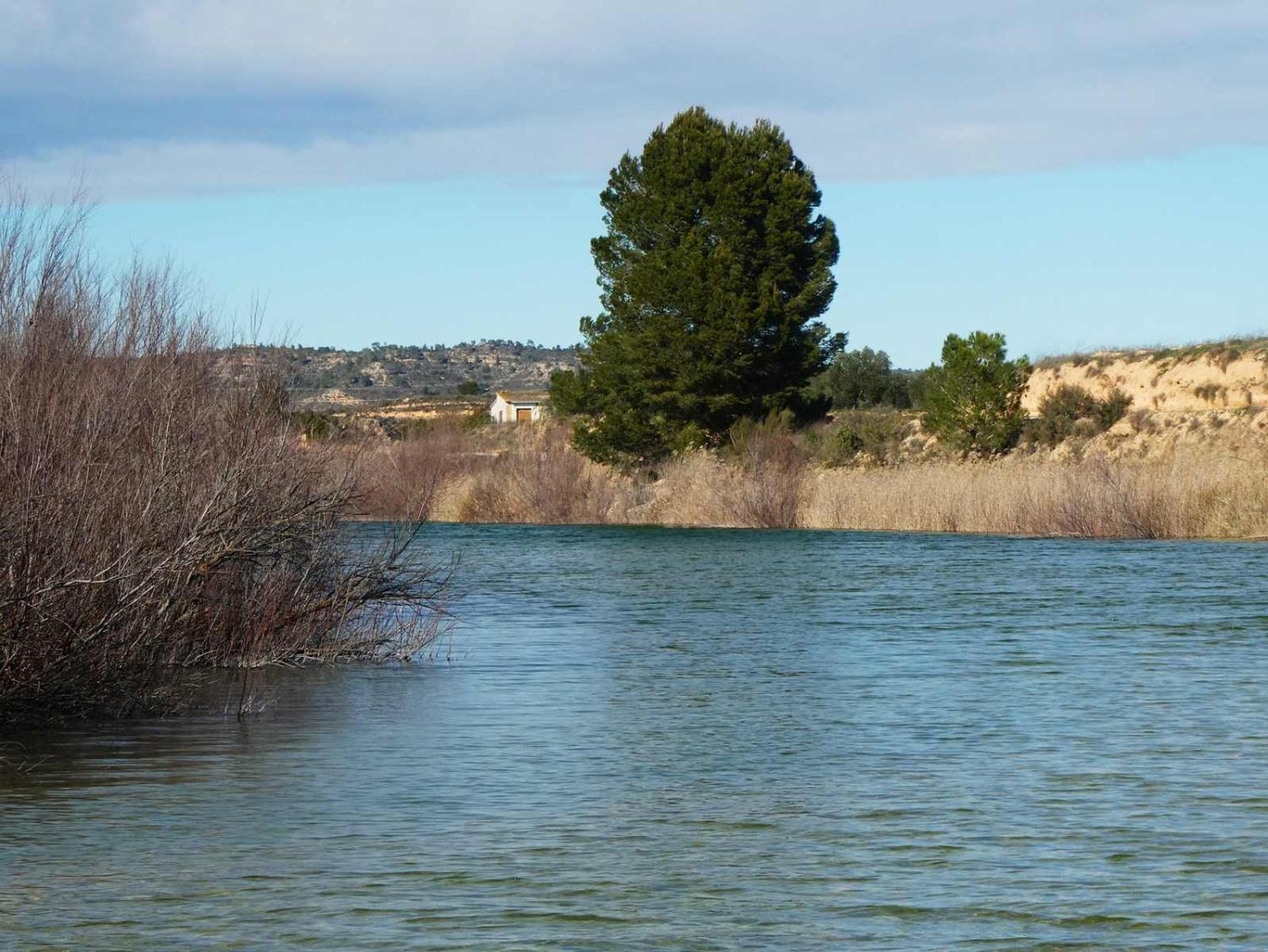 en venta finca rústica Fabara Bajo Aragón-Caspe 1