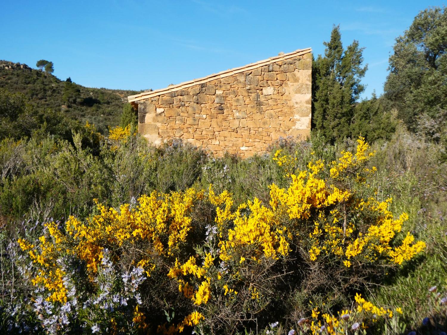  en venta finca rústica Fabara Bajo Aragón-Caspe 5