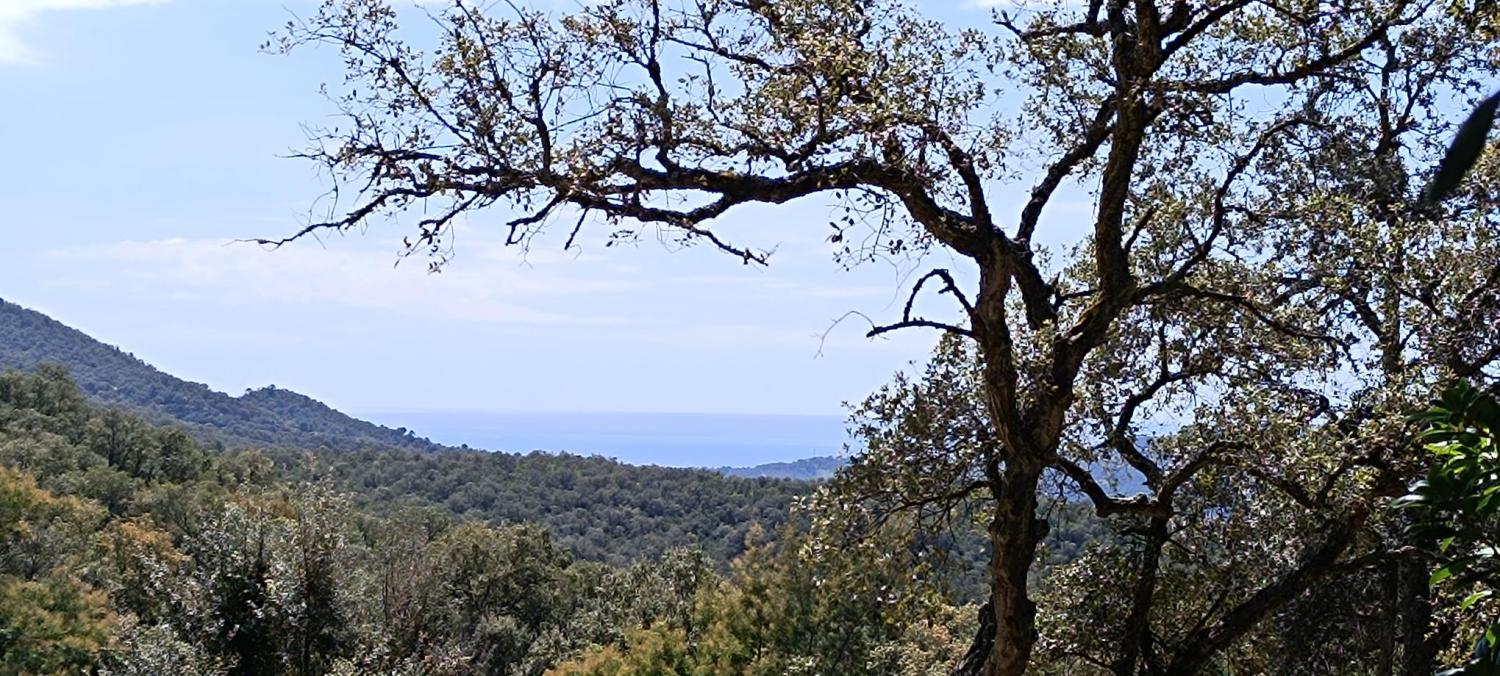  en venta terreno Fontbona Gironès 2