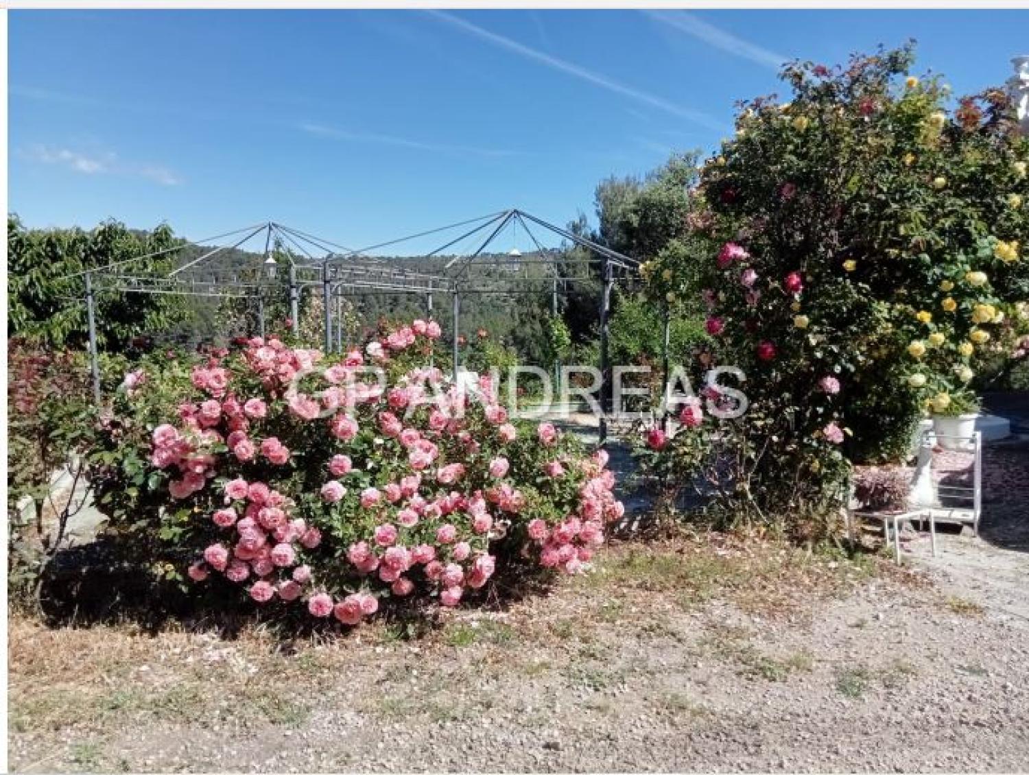  en venta chalet Alcoi 03803 Alcoia 40